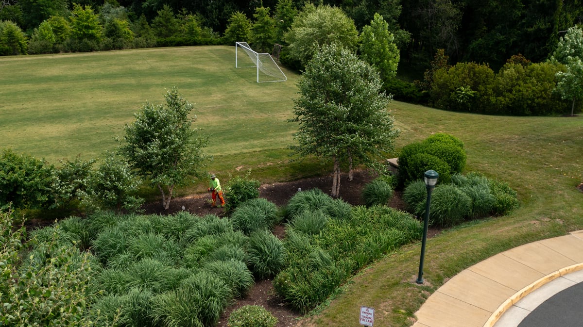 Northern Virginia HOA Landscaping Case Study ﻿Loudoun Meadows The